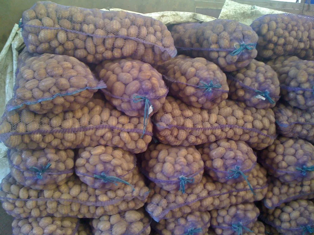 картофель оптом от 20 т  в Нижнем Новгороде и Нижегородской области