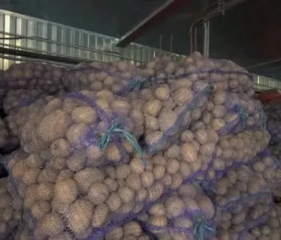 картофель оптом от производителя в Нижнем Новгороде