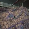 картофель оптом от производителя в Нижнем Новгороде