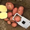 картофель оптом в Нижнем Новгороде 2
