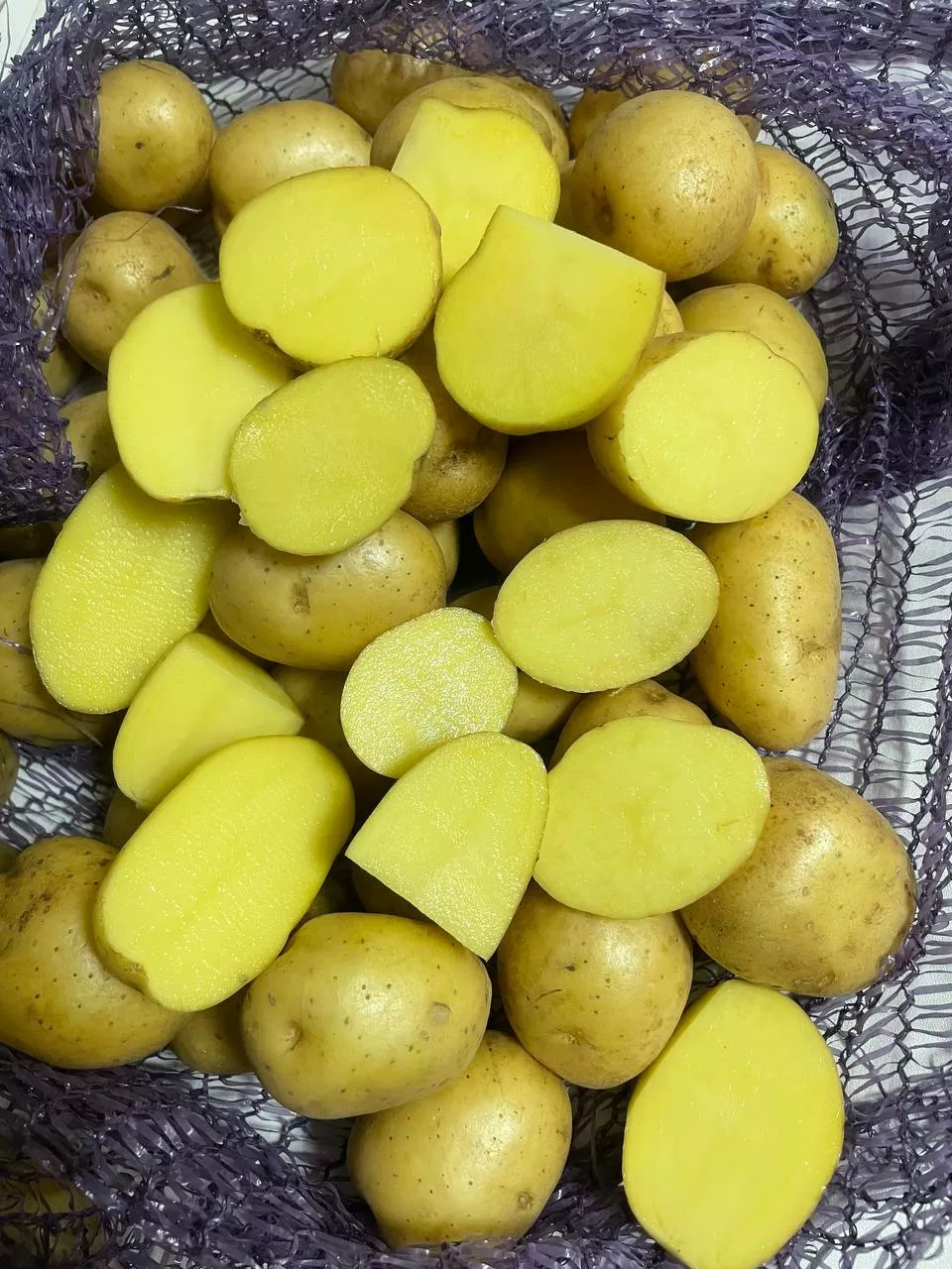семенной картофель коломбо в Нижнем Новгороде 3