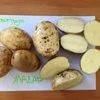 картофель оптом в Нижнем Новгороде 3